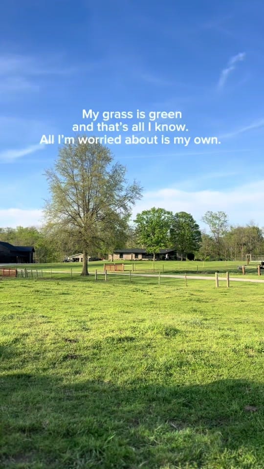 Post 5 by Ali | Three Chicks Farm on TikTok (video)