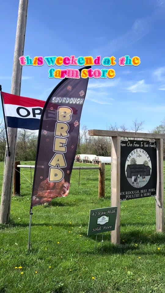 Post 9 by Ali | Three Chicks Farm on TikTok (video)