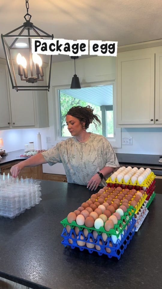Post 8 by Ali | Three Chicks Farm on TikTok (video)