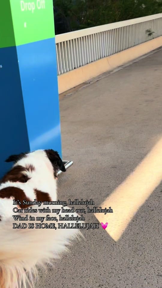 Post 3 by MC on TikTok (video)