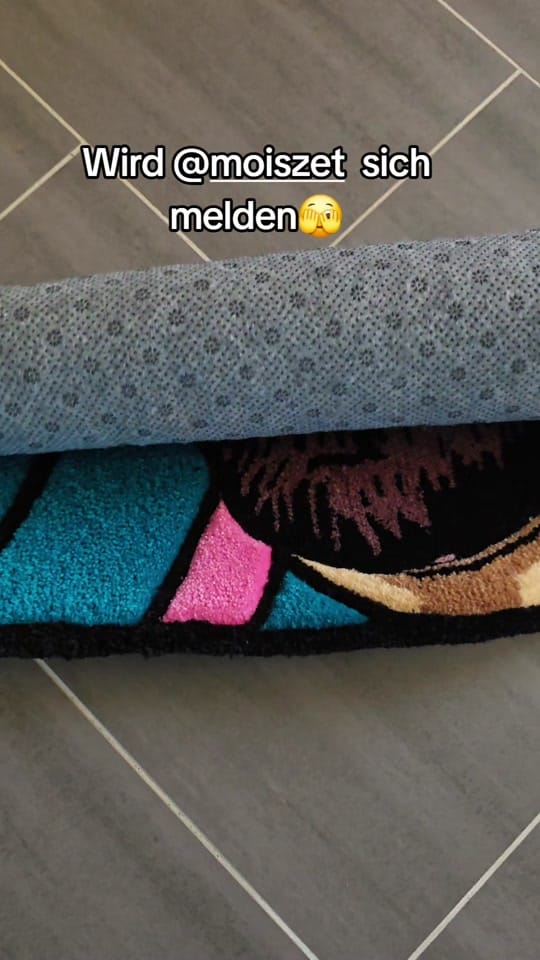 Post 3 by TEPPICH Manu on TikTok (video)