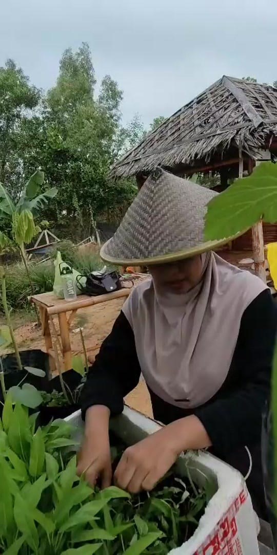 Post 2 by DrSinda on TikTok (video)