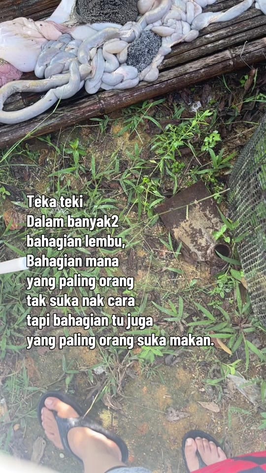Post 8 by DrSinda on TikTok (video)