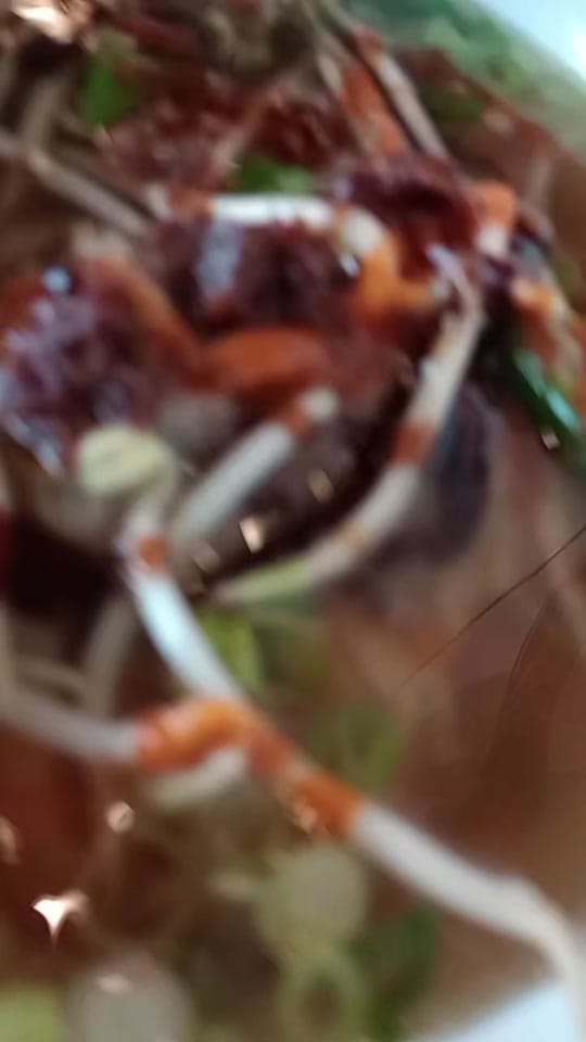 Post 10 by Jenny B ✨🦋 on TikTok (video)