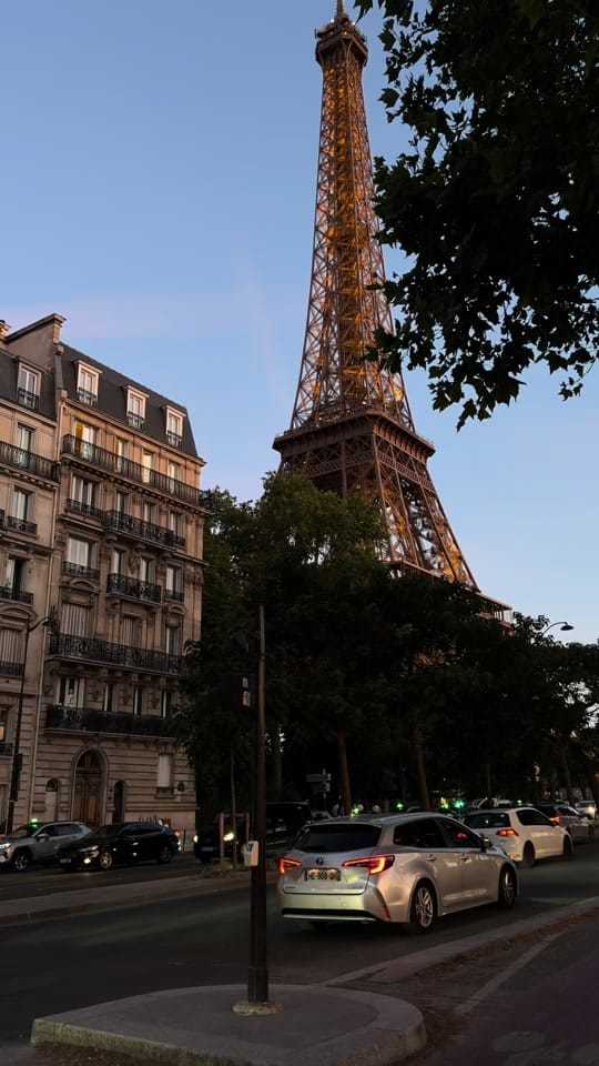 Post 1 by nurselle ❀ nyc ⋆｡⭒˚｡⋆ on TikTok (video)