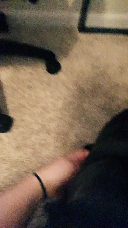 Post 8 by Morgan Elizabeth ✨ on TikTok (video)