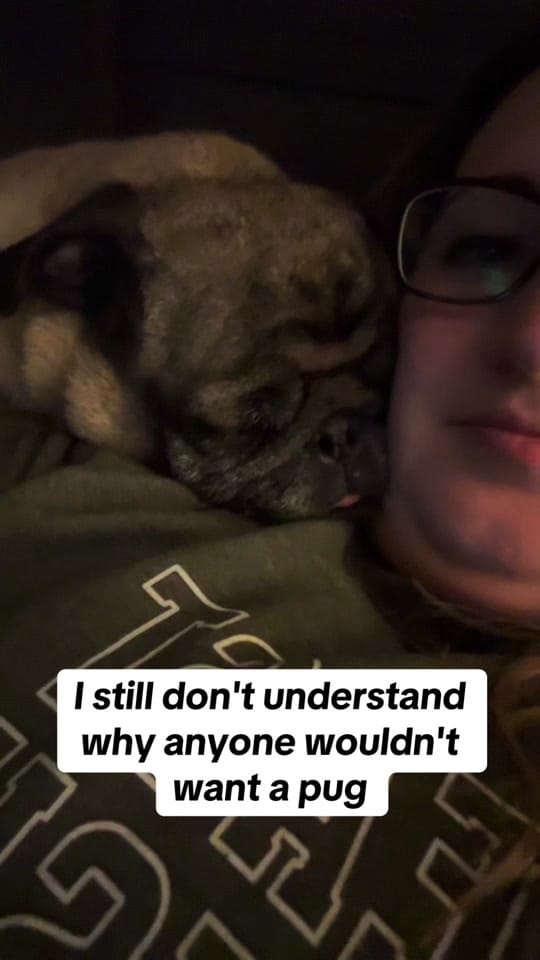 Post 5 by Morgan Elizabeth ✨ on TikTok (video)