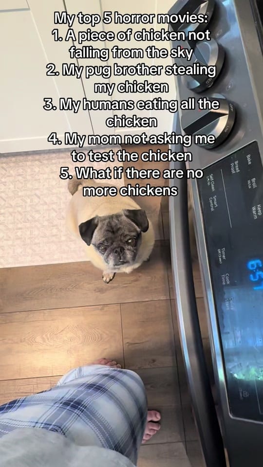 Post 1 by Morgan Elizabeth ✨ on TikTok (video)