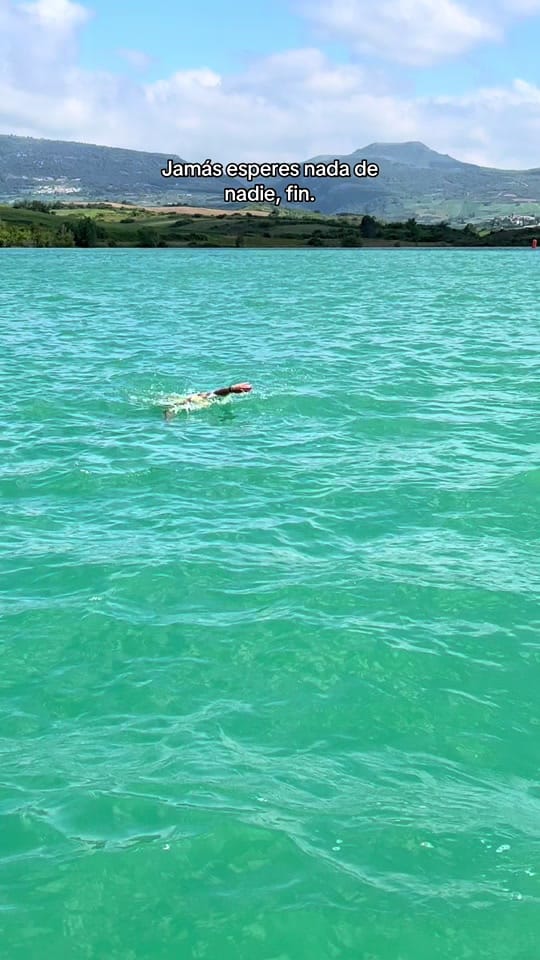 Post 4 by Elsa✨ on TikTok (video)