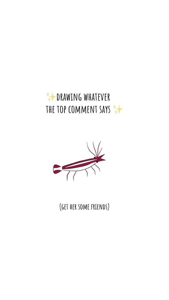 Post 4 by fionique on TikTok (video)