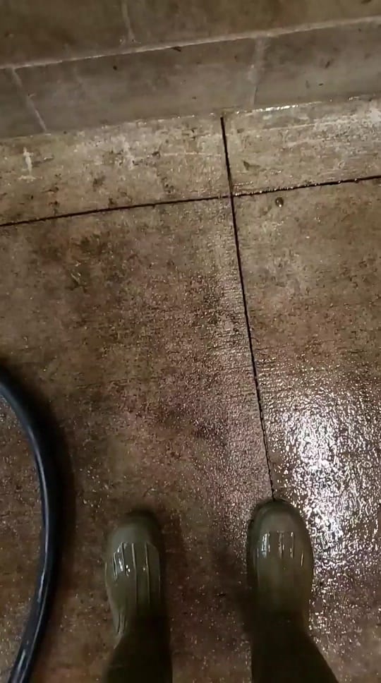 Post 3 by florabykora on TikTok (video)
