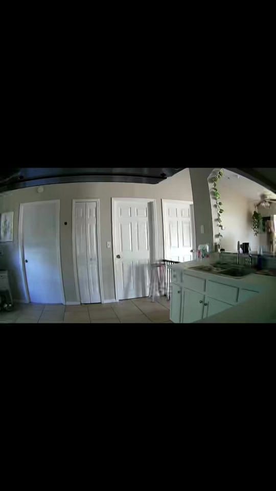 Post 5 by florabykora on TikTok (video)
