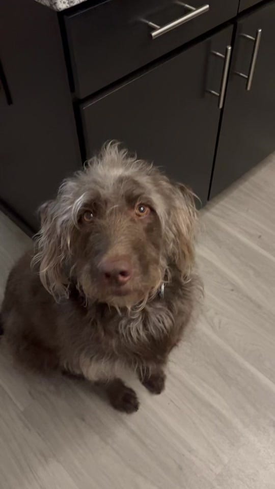 Post 7 by florabykora on TikTok (video)