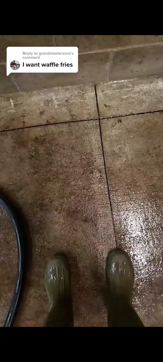 Post 2 by florabykora on TikTok (video)