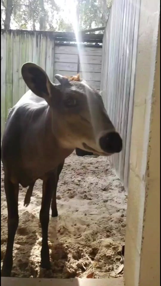 Post 10 by florabykora on TikTok (video)