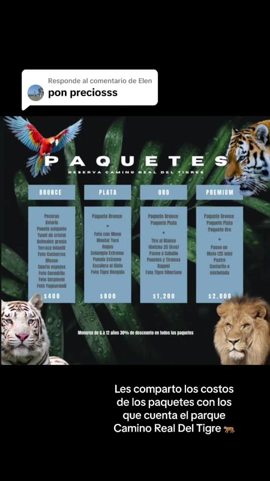 Post 4 by Alejandro Hawaii Viajes on TikTok (video)
