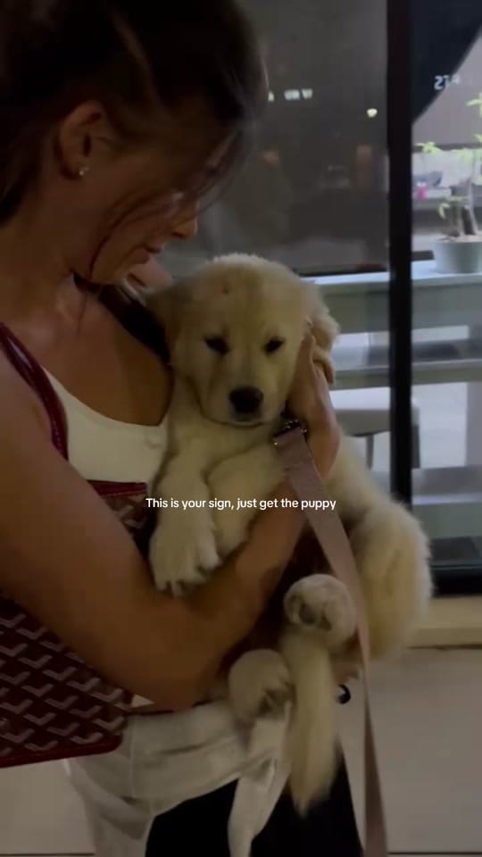 Post 1 by Jacqueline McLain on TikTok (video)