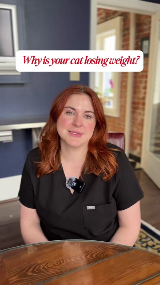 Post 7 by The Cat Practice on TikTok (video)
