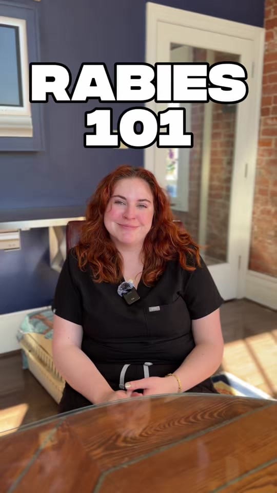 Post 1 by The Cat Practice on TikTok (video)