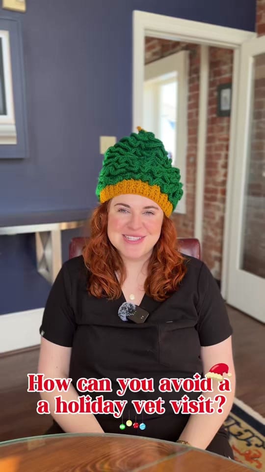 Post 5 by The Cat Practice on TikTok (video)