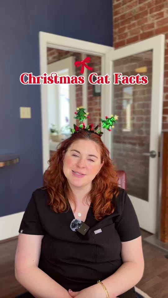 Post 4 by The Cat Practice on TikTok (video)