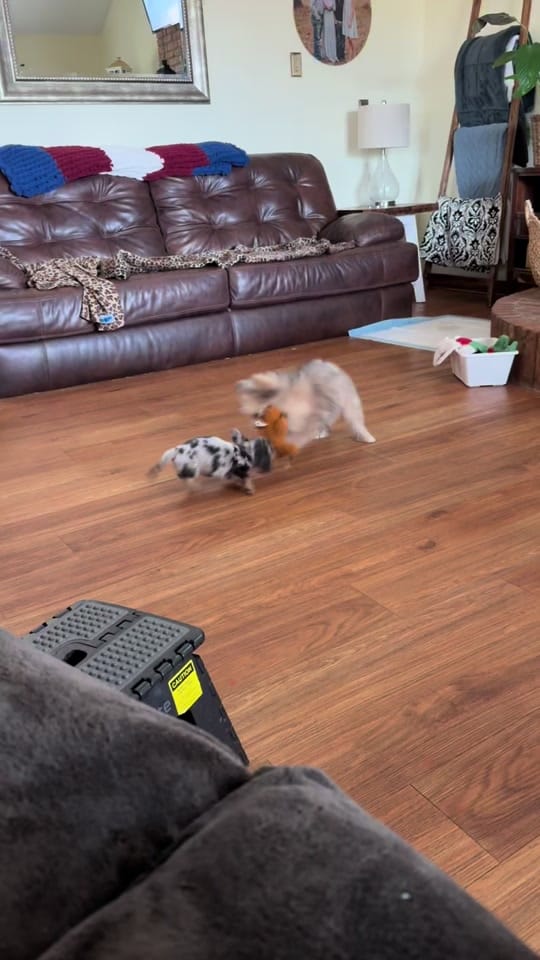 Post 6 by Tishslapahoe on TikTok (video)