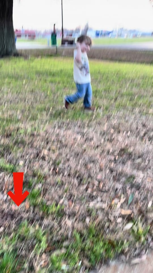 Post 4 by Tishslapahoe on TikTok (video)