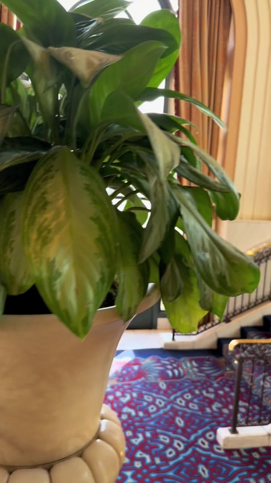 Post 10 by FBMC_OQAM on TikTok (video)