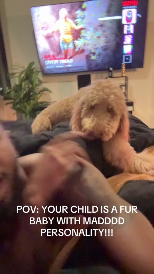 Post 4 by MITCH C. on TikTok (video)