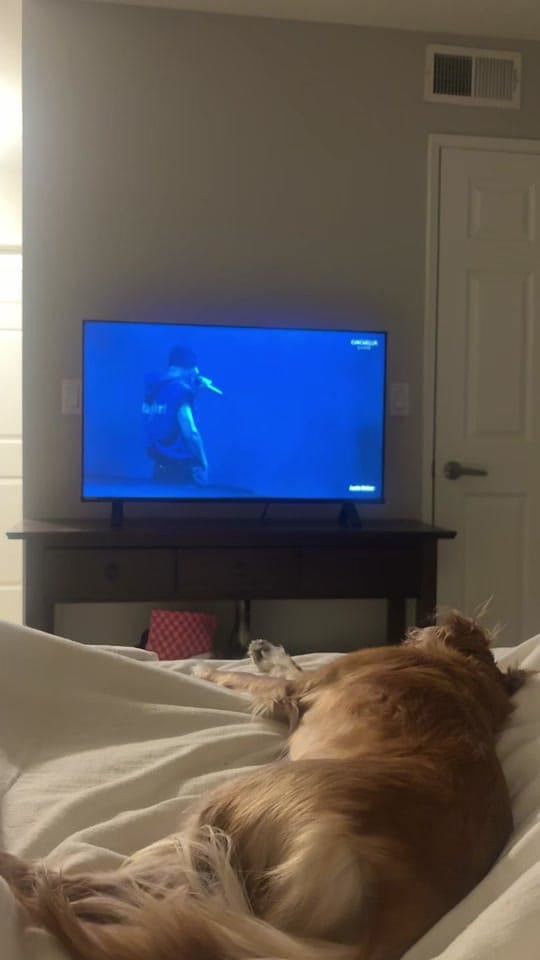Post 7 by Teddy Bear & Sar 🧸 on TikTok (video)