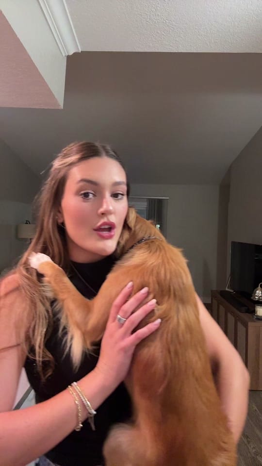 Post 1 by Teddy Bear & Sar 🧸 on TikTok (video)