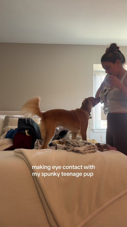 Post 3 by Teddy Bear & Sar 🧸 on TikTok (video)