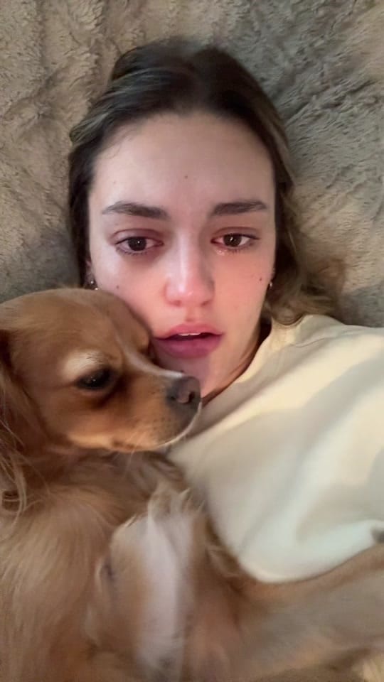 Post 8 by Teddy Bear & Sar 🧸 on TikTok (video)