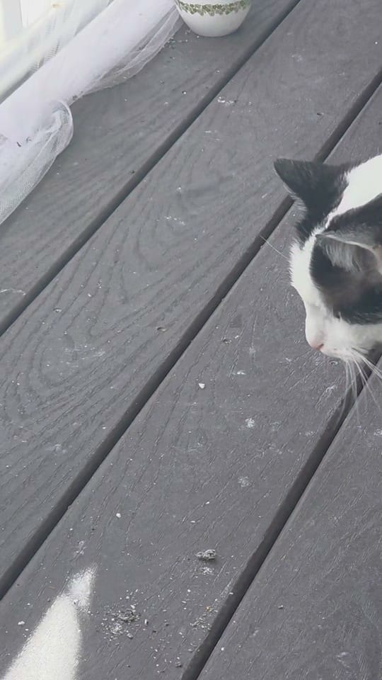Post 6 by Kaleyyyy ❤️ on TikTok (video)