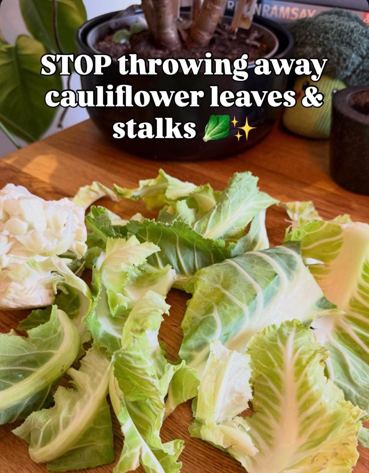 Post 1 by jadesbites on TikTok (video)