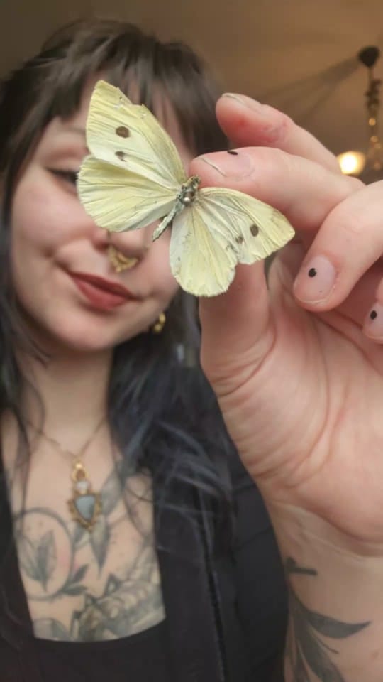 Post 3 by ⋆᠂᭼᰷ᱹᱸælfgardᱸᱹ᭼᰷ᱹ᠂⋆ on TikTok (video)
