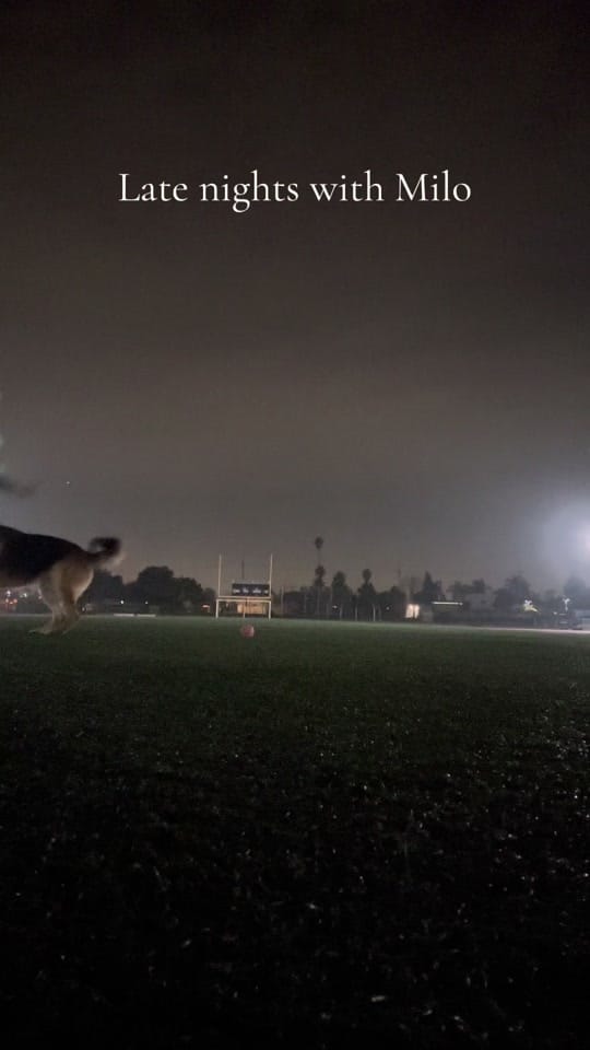 Post 2 by Mark Wang on TikTok (video)