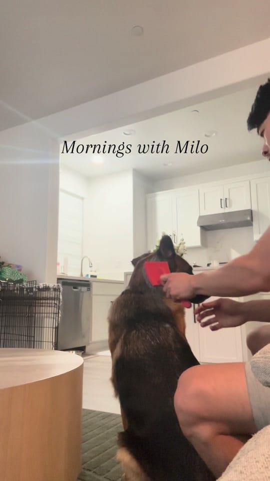 Post 5 by Mark Wang on TikTok (video)