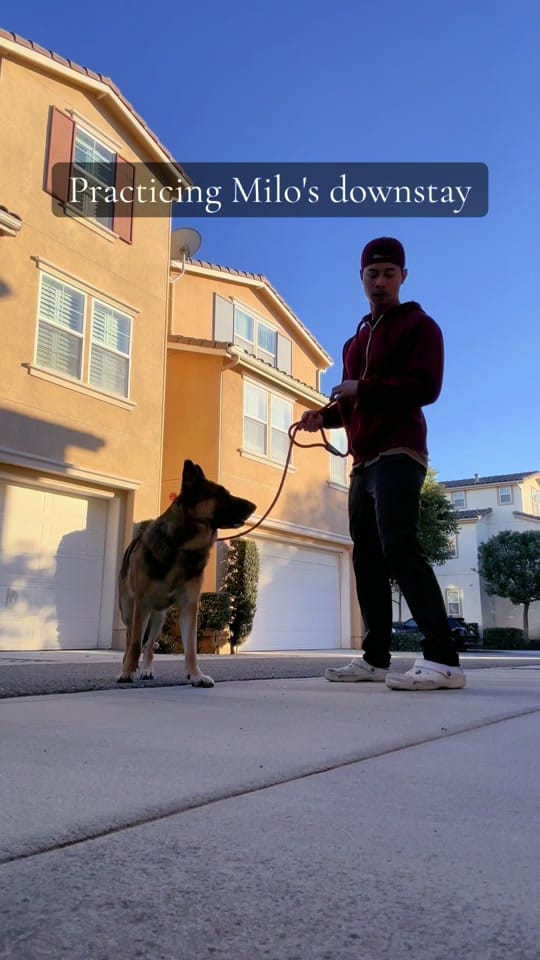 Post 3 by Mark Wang on TikTok (video)