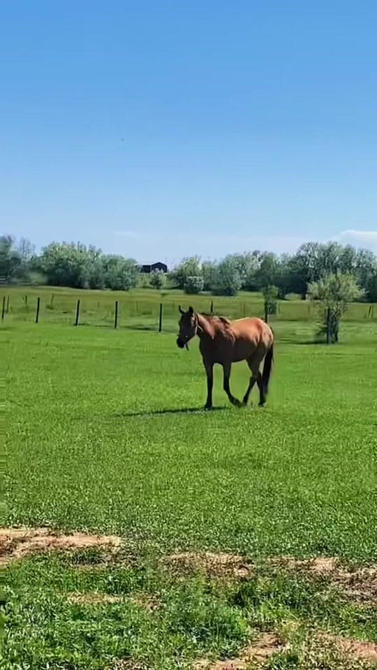 Post 3 by Darrah on TikTok (video)