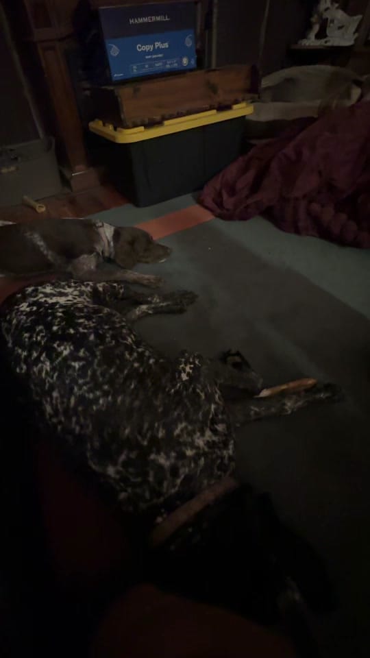 Post 3 by Missieasmith on TikTok (video)