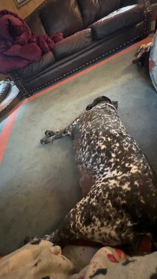 Post 6 by Missieasmith on TikTok (video)