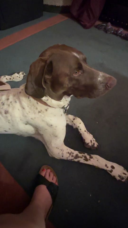 Post 5 by Missieasmith on TikTok (video)