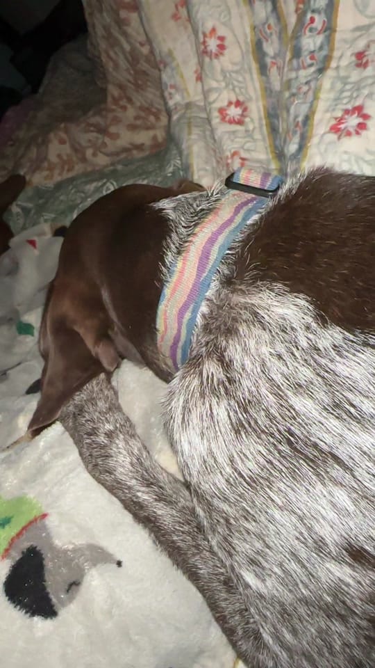 Post 2 by Missieasmith on TikTok (video)