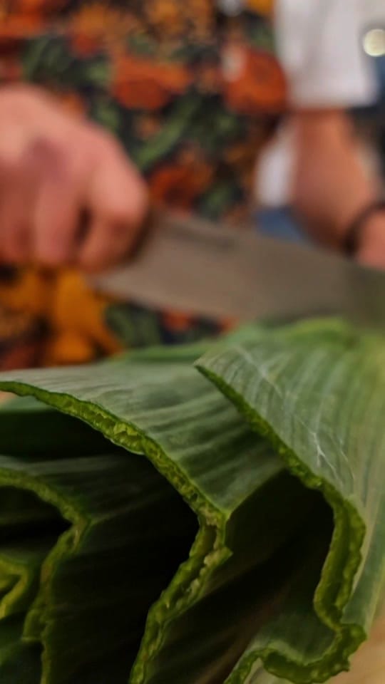 Post 5 by La Pera Limonera on TikTok (video)