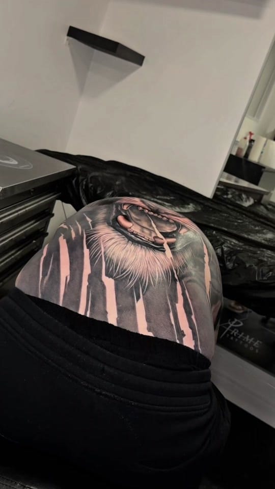 Post 2 by TAISON on TikTok (video)