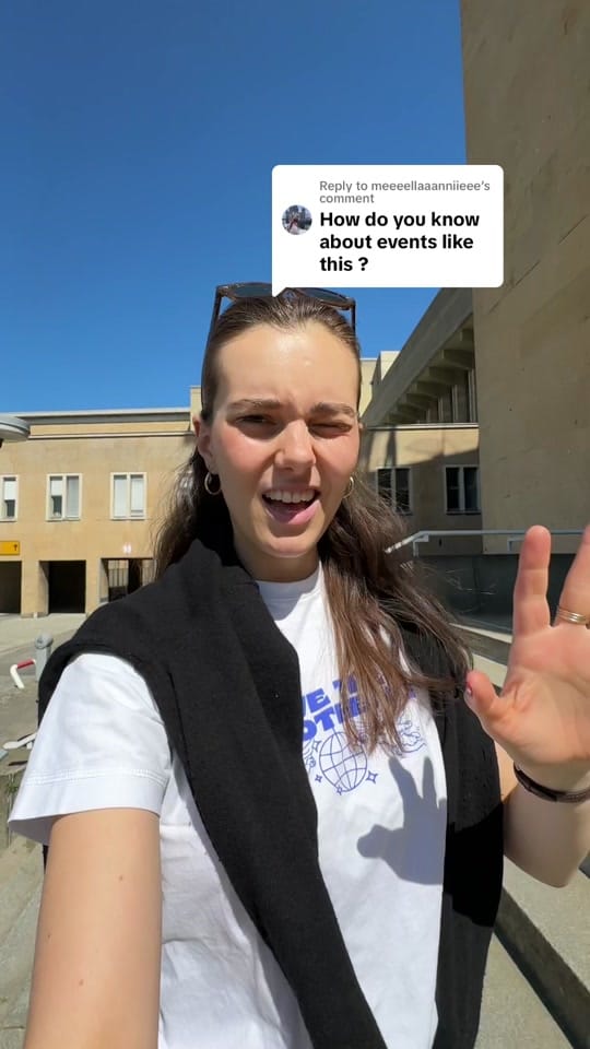 Post 9 by Lilo‘s Art Adventures on TikTok (video)