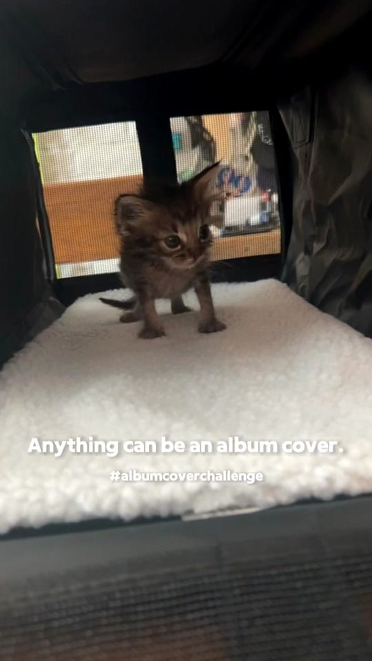 Post 10 by Heather Ramirez on TikTok (video)