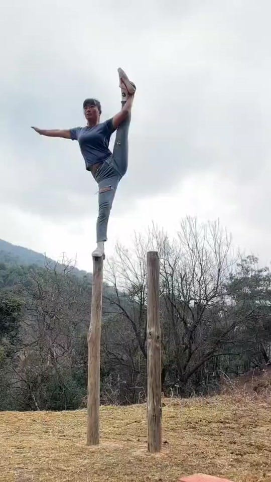 Post 5 by kung fu on TikTok (video)