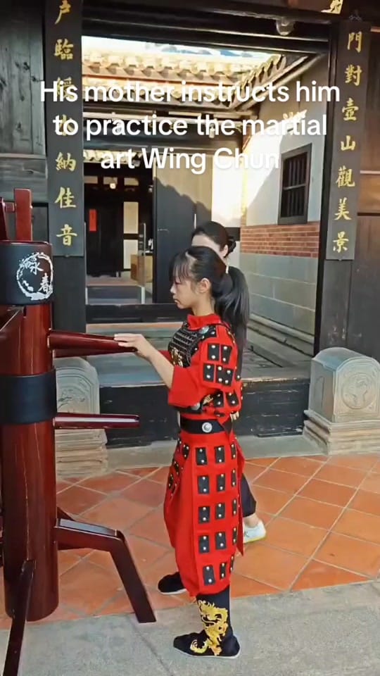 Post 9 by kung fu on TikTok (video)